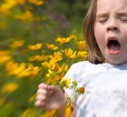 Autism and Allergies